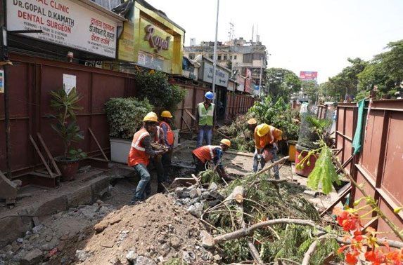Dadar tree cutting